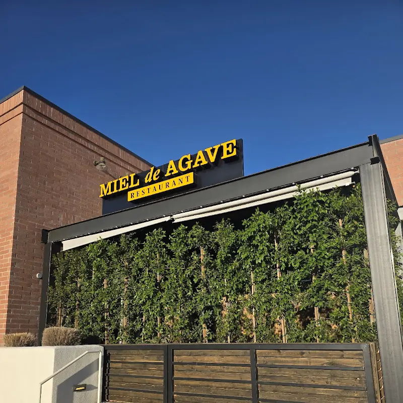 Miel de Agave Chandler