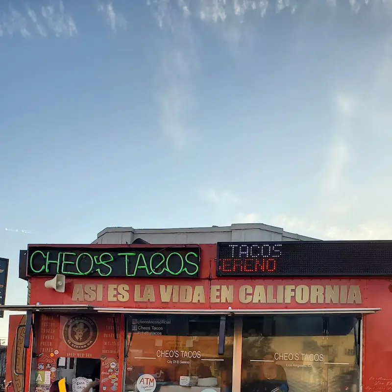 Just Cheese Quesadilla