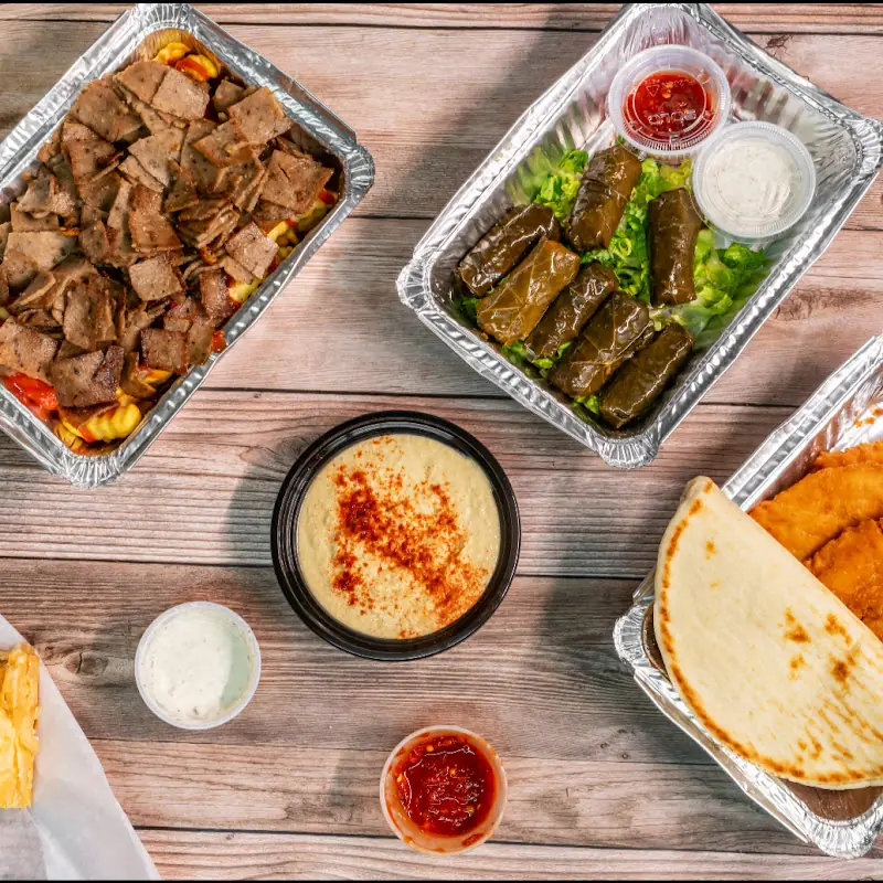TX Gyro
