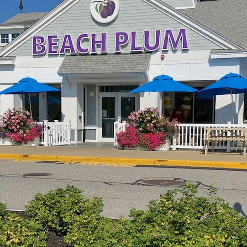 The Beach Plum