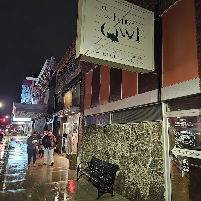 The White Owl