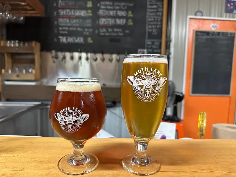 Moth Lane Brewing