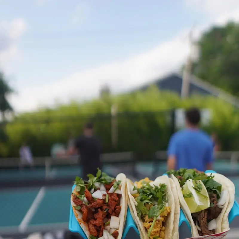 Taco 66