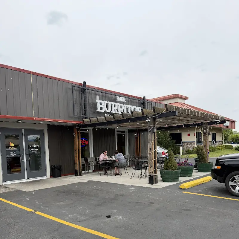 Mr Burritos Mexican Food (Main)