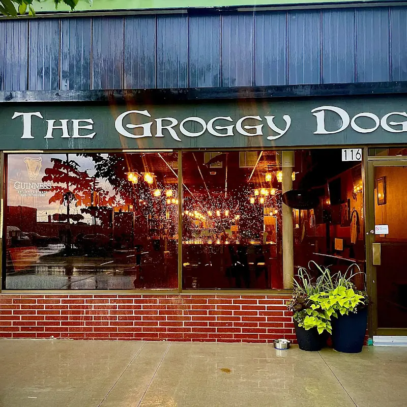 The Groggy Dog