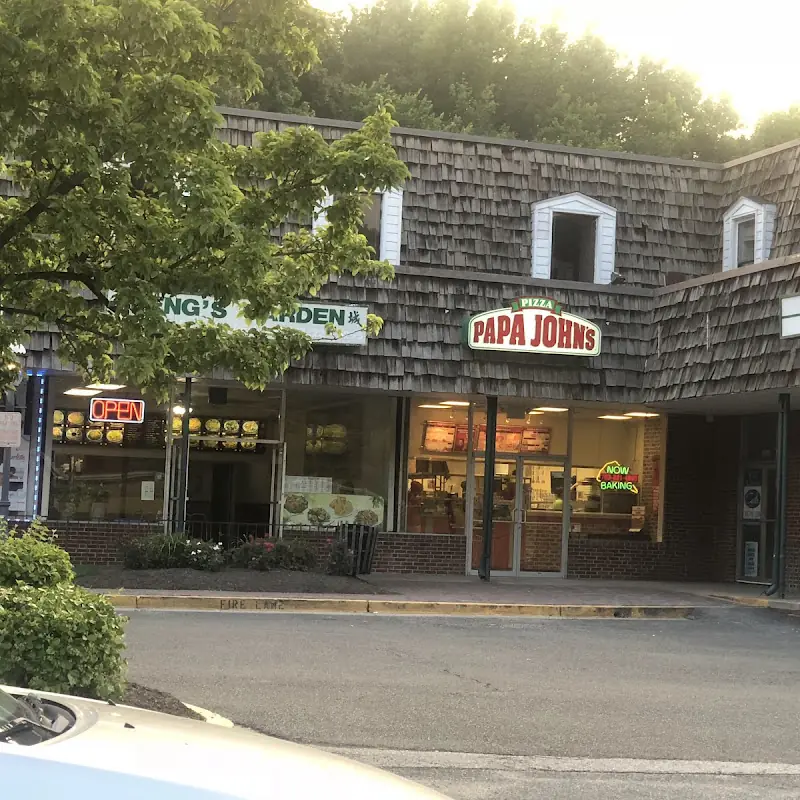 Papa Johns Pizza