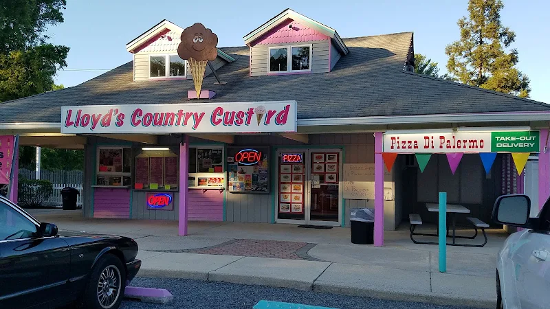 Lloyd's Country Custard