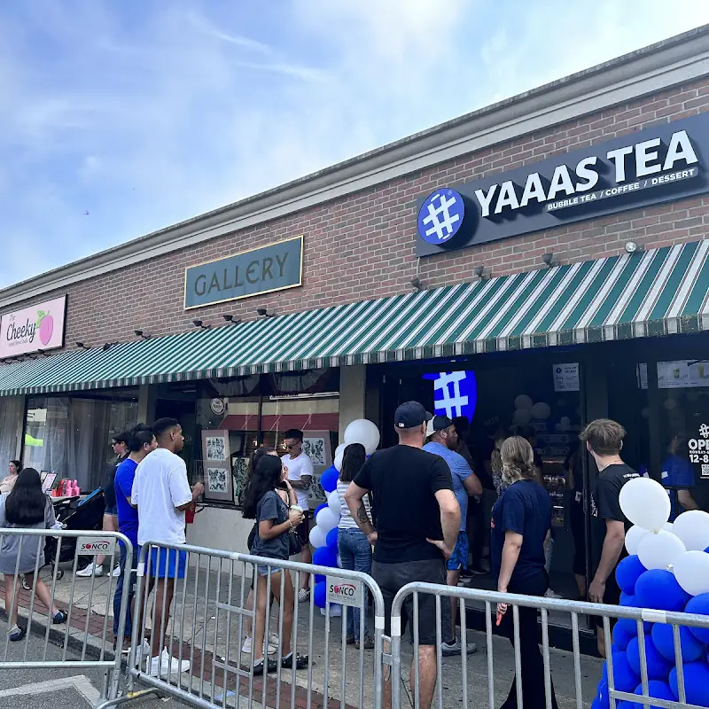 YAAAS TEA Patchogue