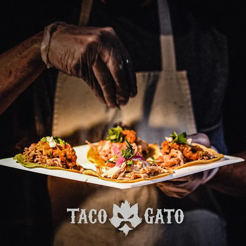 Taco Gato