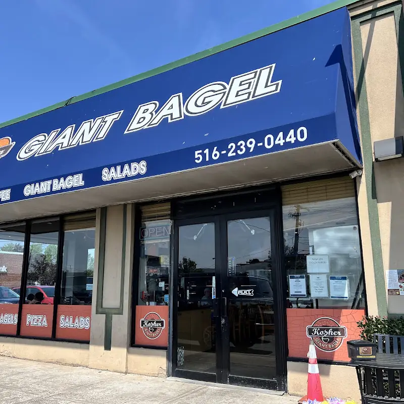 Whole Wheat Everything Bagel