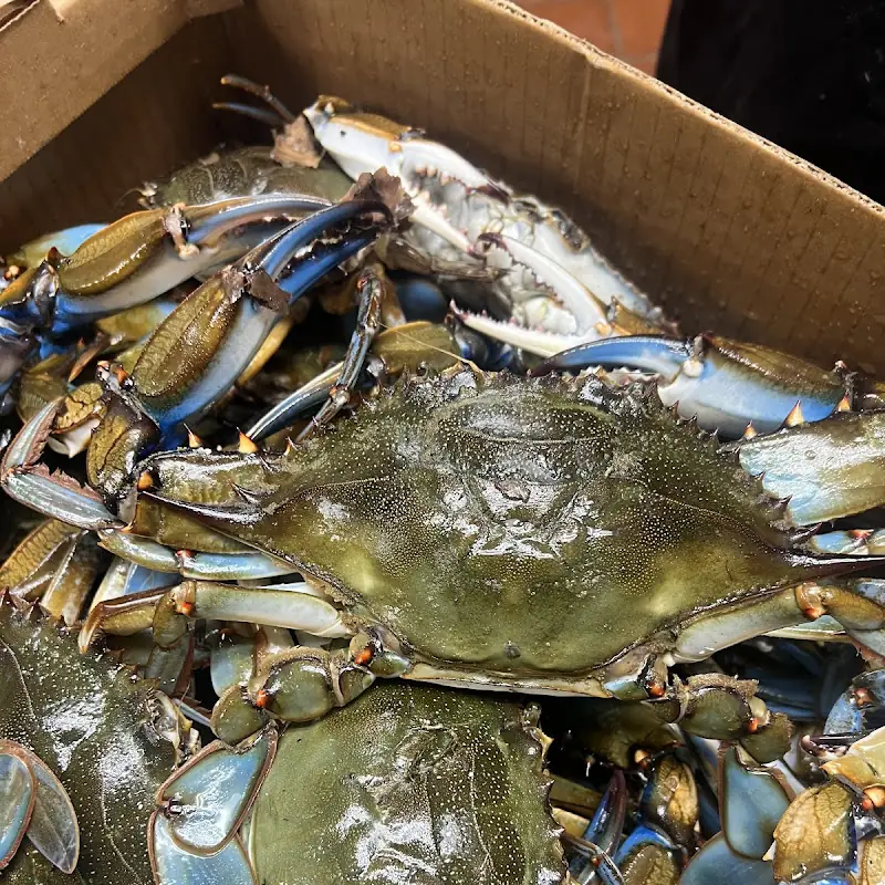 Captain’s Crab house and Seafood
