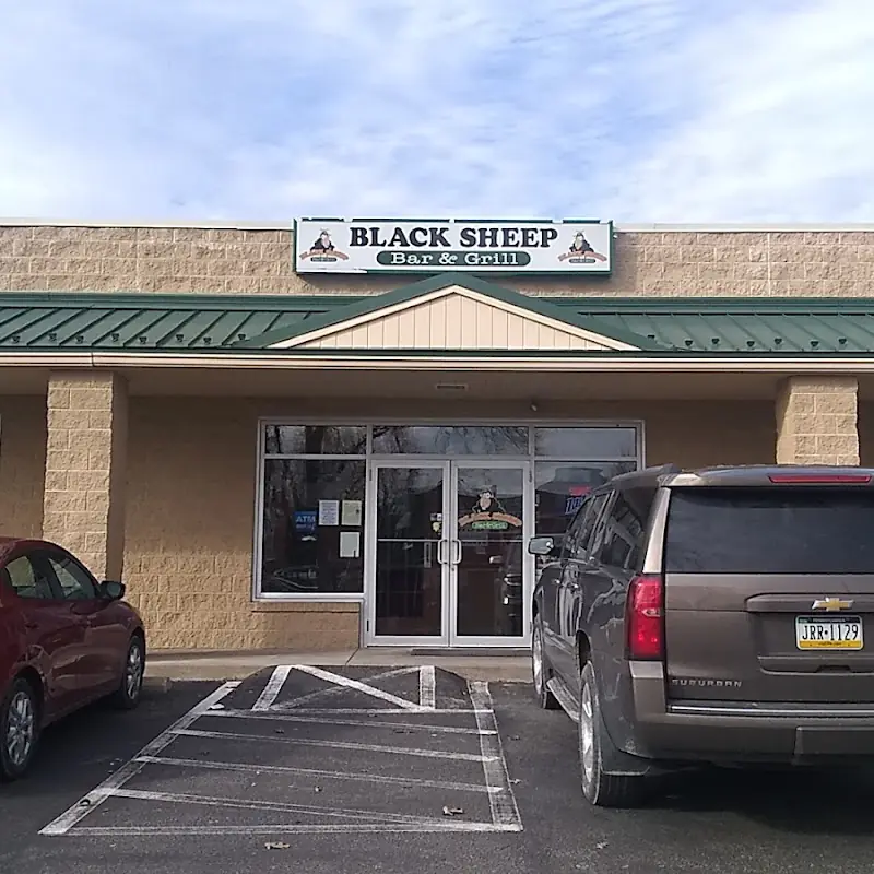 Black Sheep