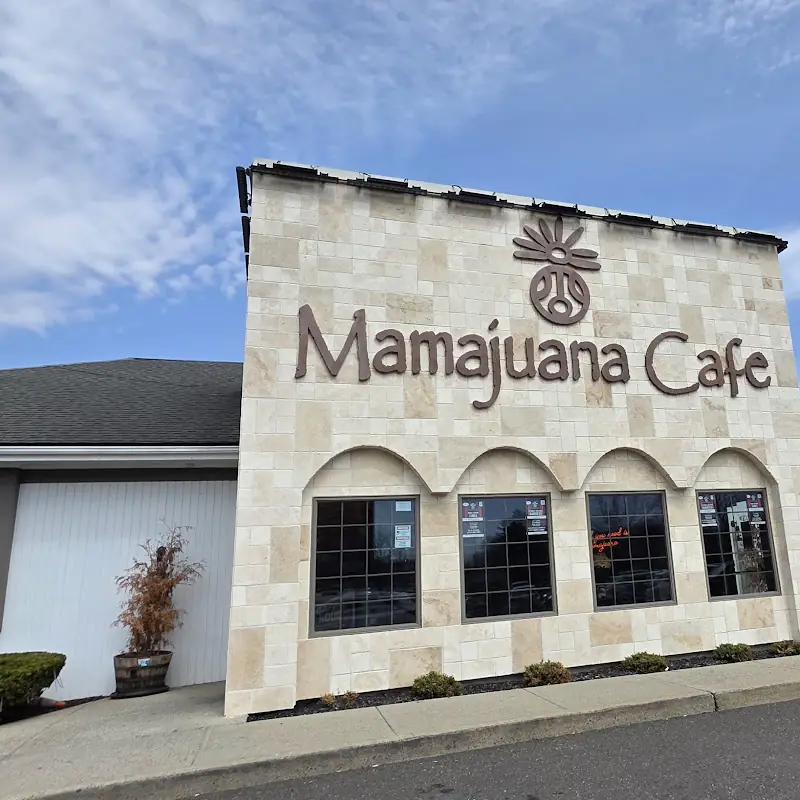 Mamajuana Cafe Waterbury