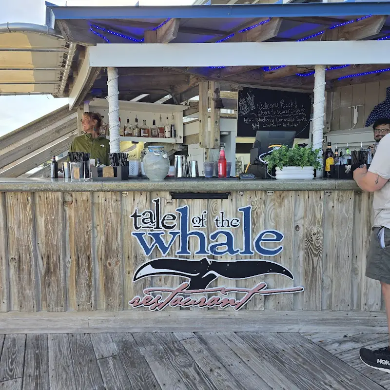 Tale of the Whale