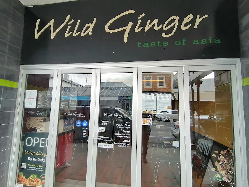 Wild Ginger Thai