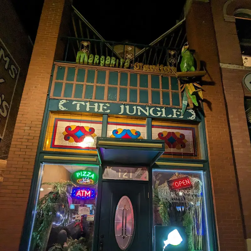 The Jungle