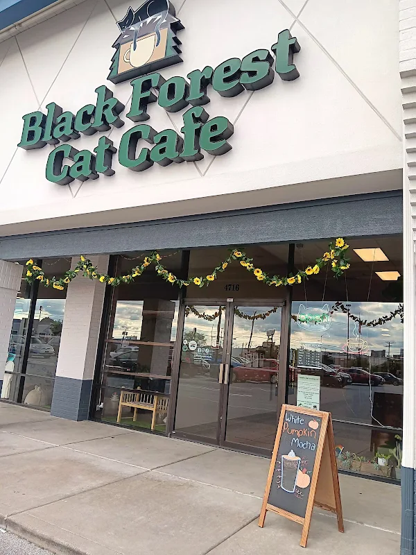 Black Forest Cat Café