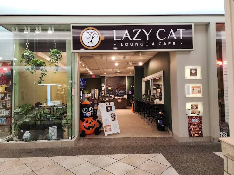 Lazy Cat Lounge and Cafe