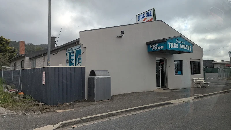 Bannon's Take Away
