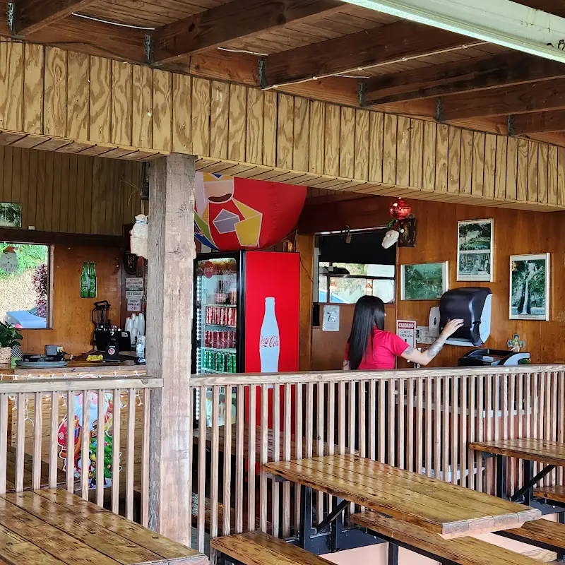 Pollos Neco