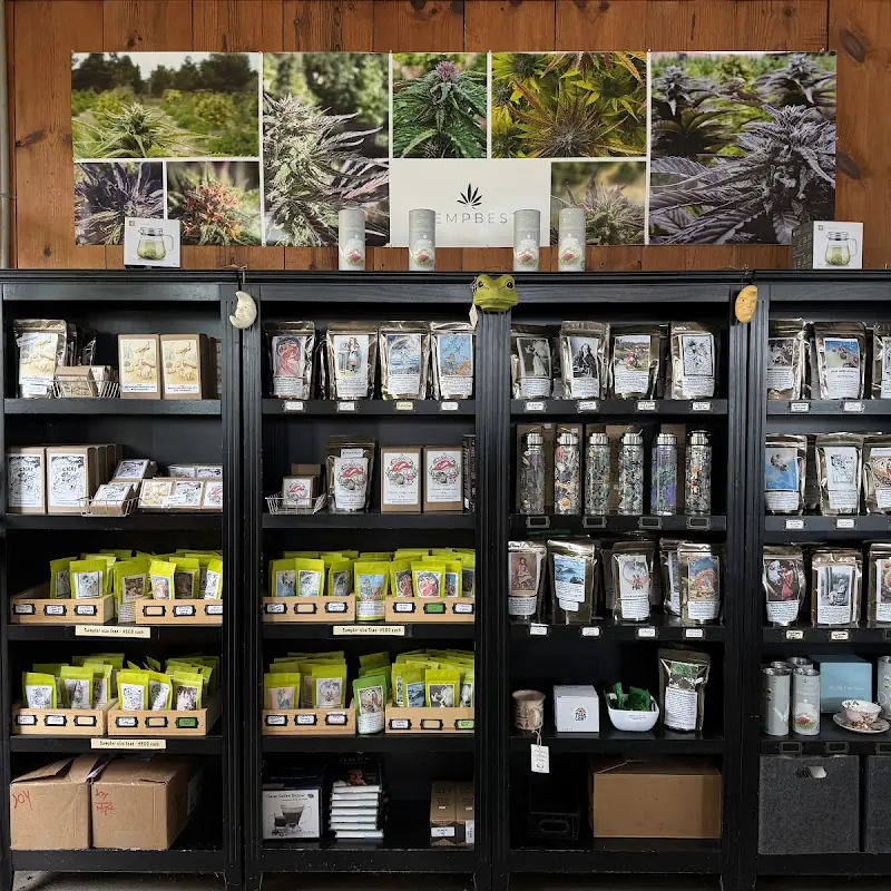 Green Salmon Coffee Company