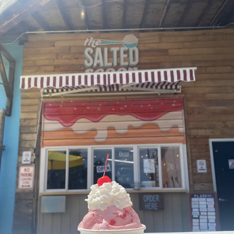 The Salted Scoop
