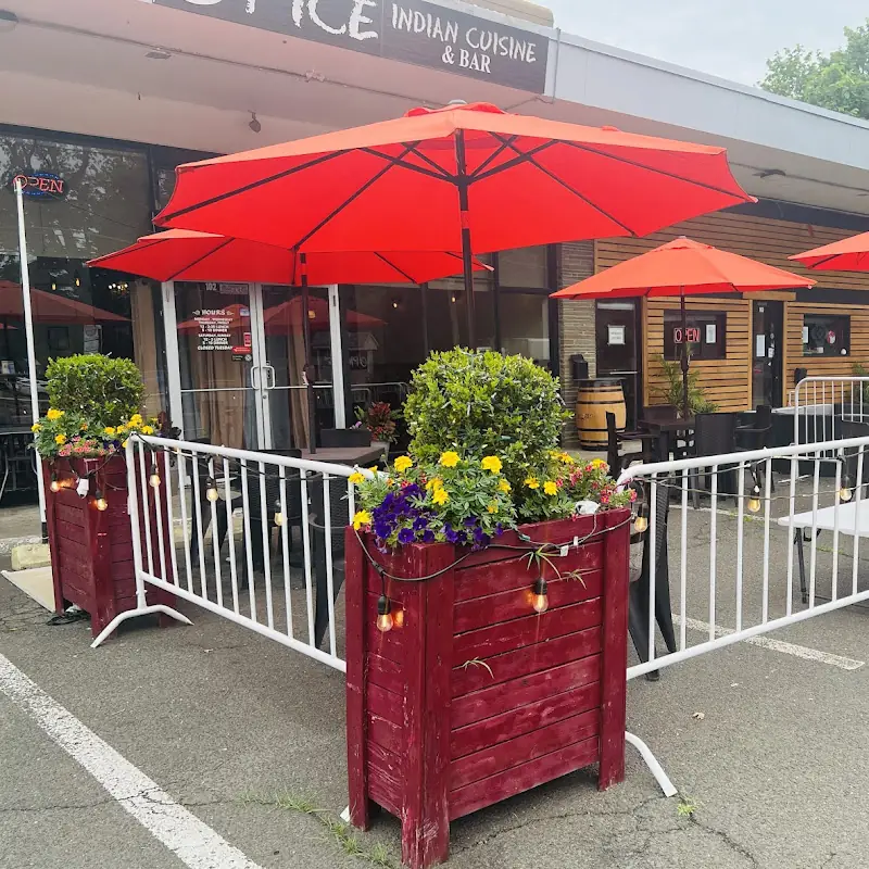 Spice Indian Cuisine & Bar