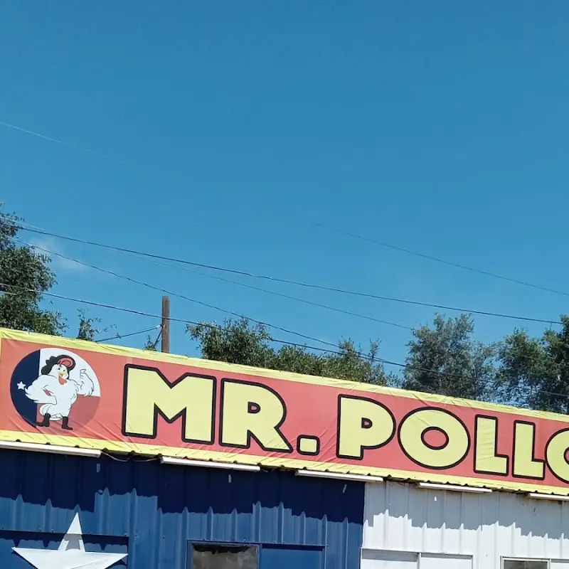 Mr Pollo