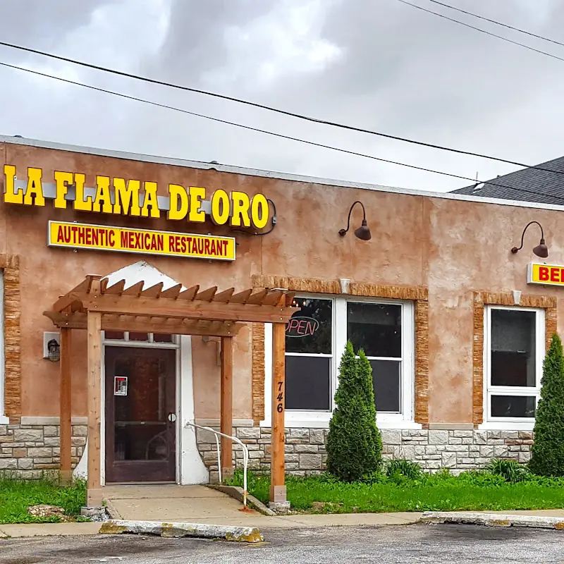 Bistec Ranchero
