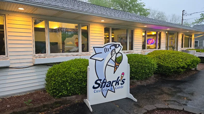Shark's Ice Cream