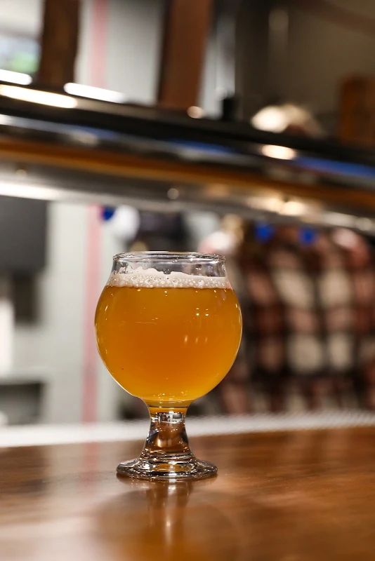 Appalachian Sun Brewery LLC