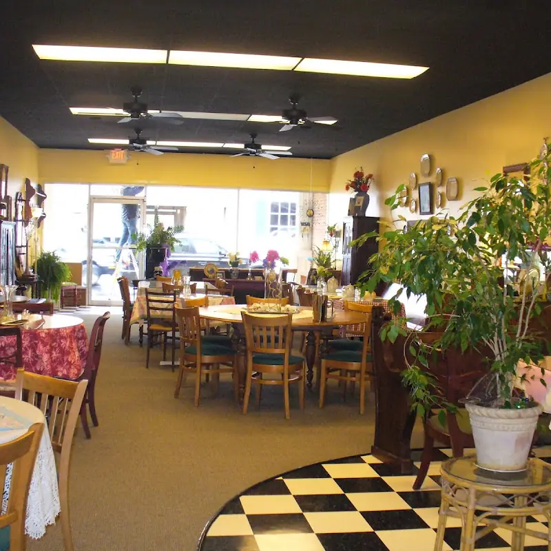 Stella Bella & Lucy's