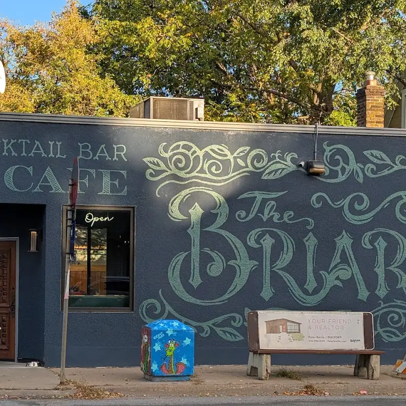 The Briar