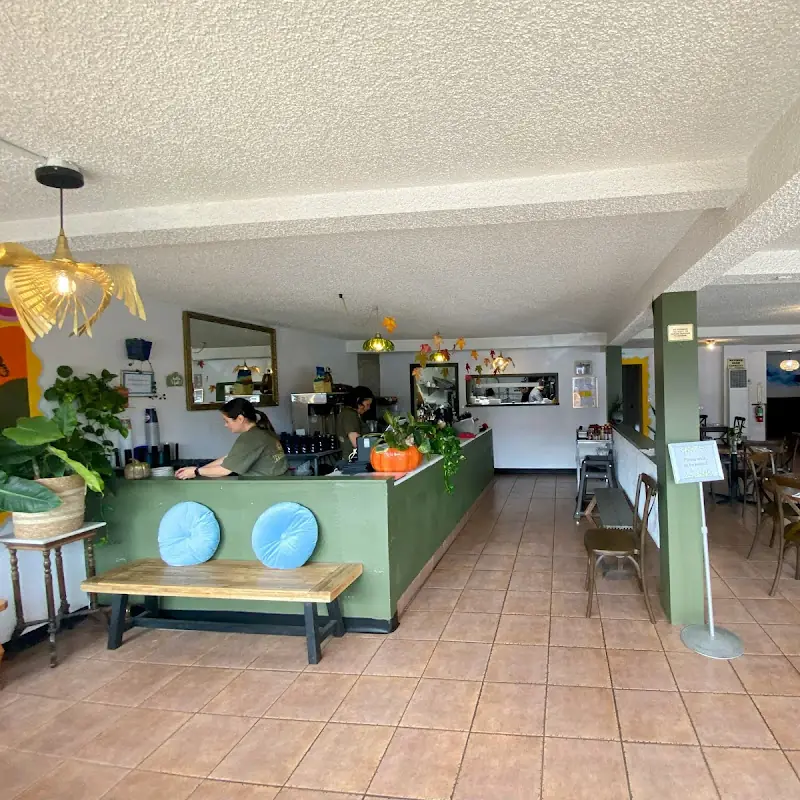 HolyBelly Restaurant
