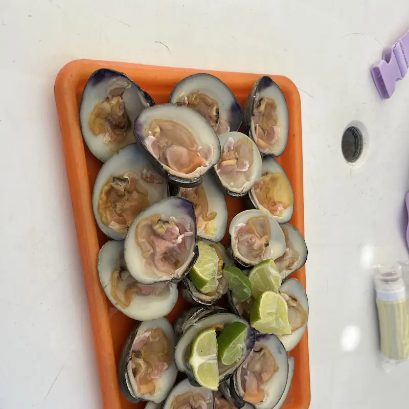 Ostras y Almejas
