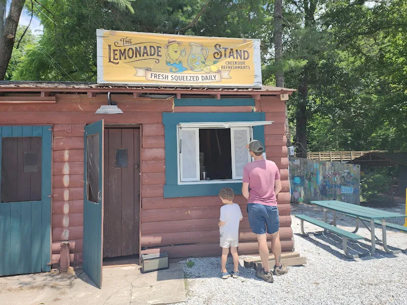 The Lemonade Stand