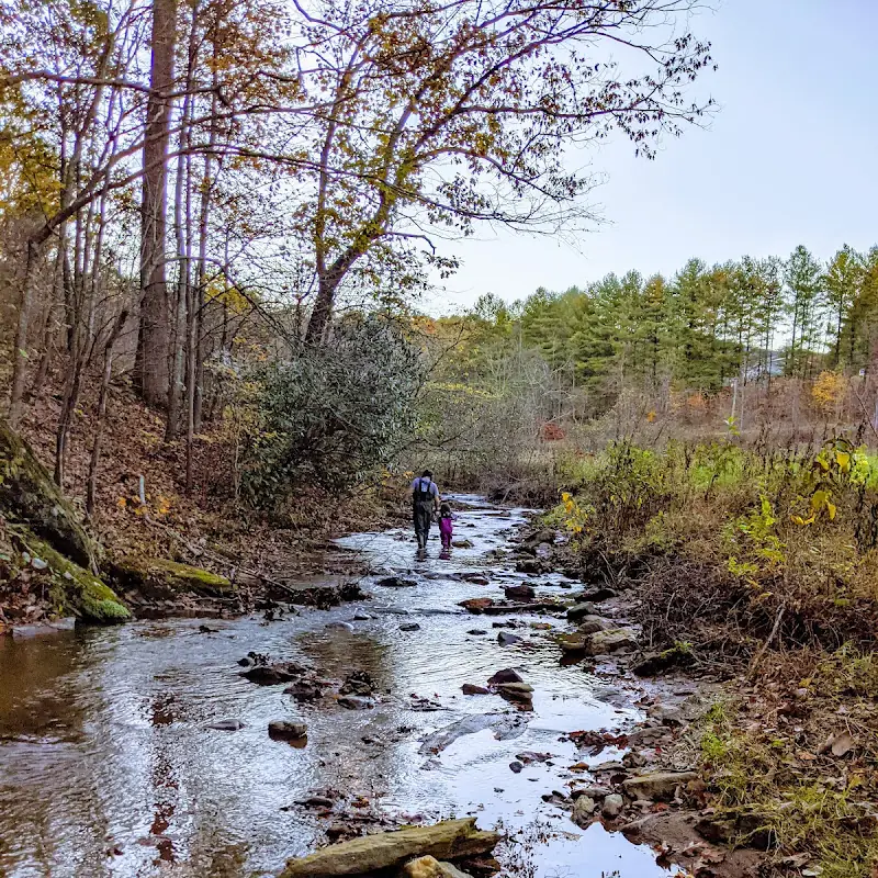 Dragon's Beard Farm & Camp and Gluten-free Bakery