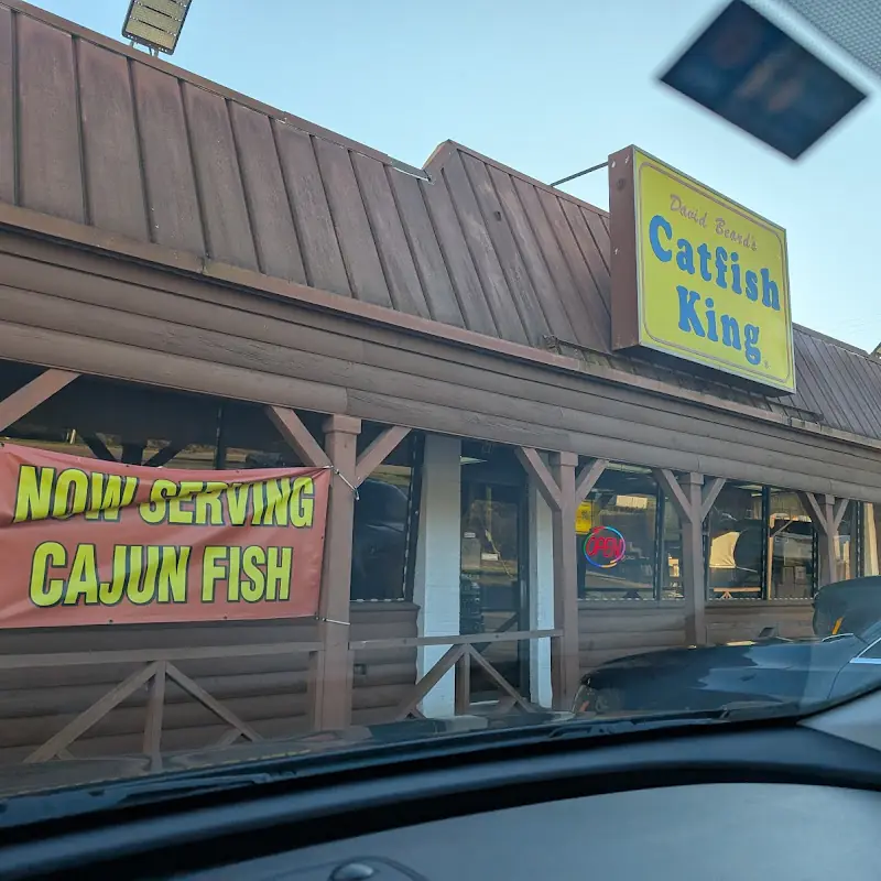 Chicken Family Catch