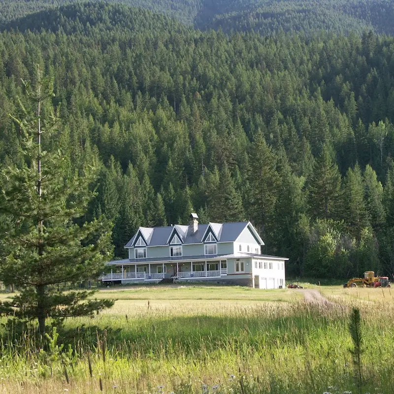 Amber Bear Inn