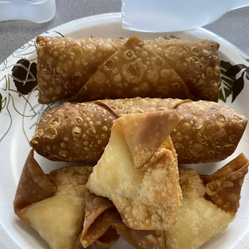 Triple Delight and Pork Fried Rice Combination Platter