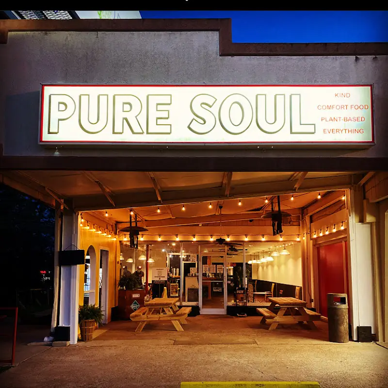 Pure Soul