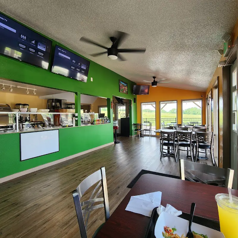 TOREADOS MEXICAN FAST FOOD INC