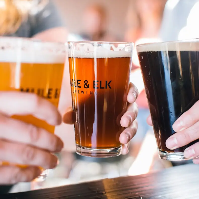 Mule & Elk Brewing