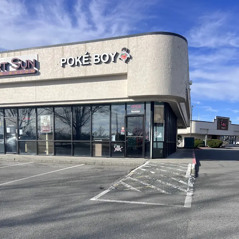 Poké Boy