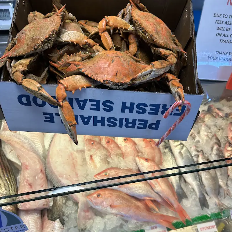 Choptank River Crab & Oyster CO.