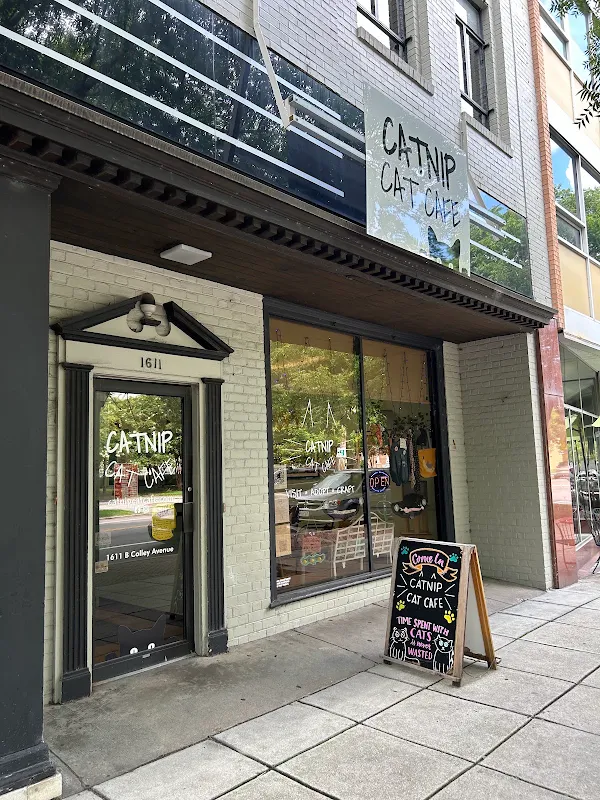 Catnip Cat Cafe