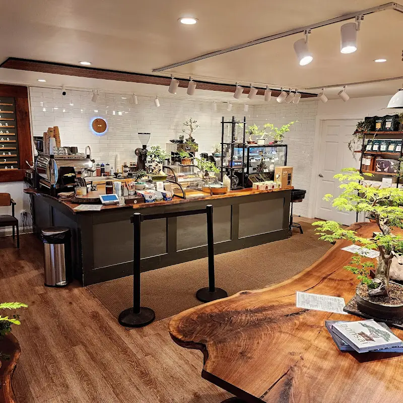 Amsterdam Coffee Bar