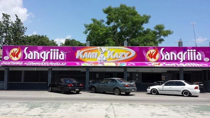 Kami Kazy