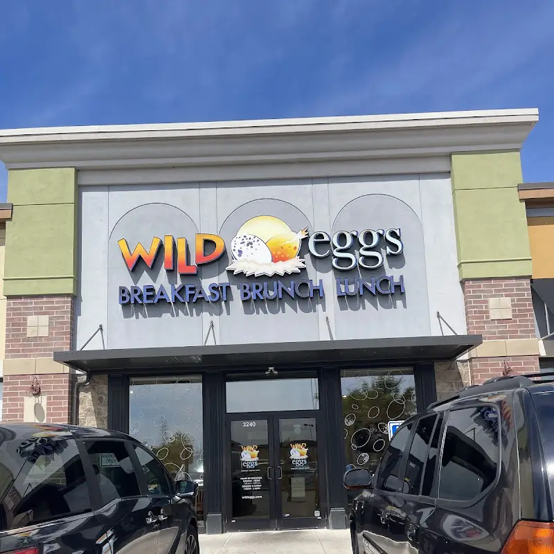 Wild Eggs