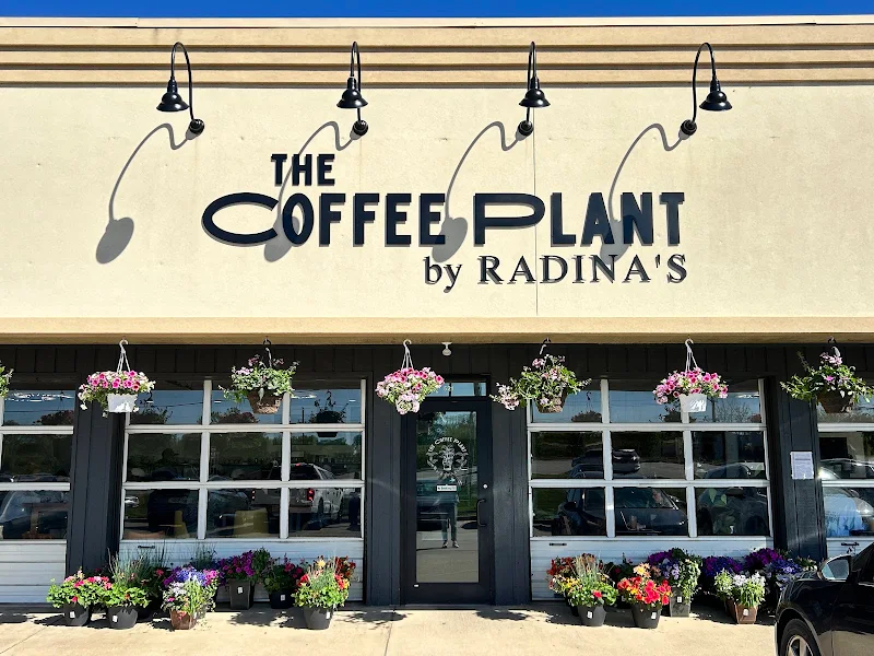 The Coffee Plant by Radinas